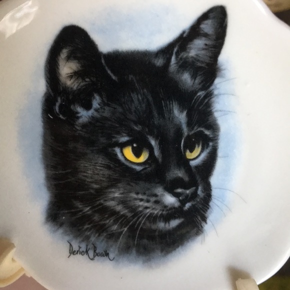 Meet your Posher, Shirley - Picture 1 of 1